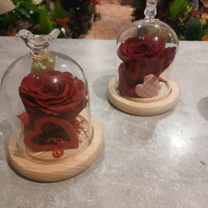 Rose rouge éternelle