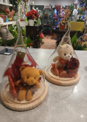 Rose rouge éternelle avec ourson