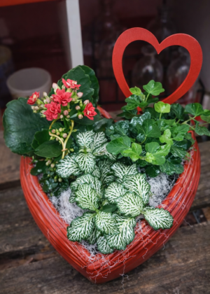 Saint-Valentin - Composition végétale cœur romantique