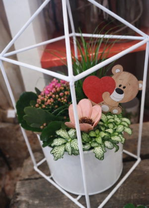 Saint Valentin - Composition végétale sous cloche graphique