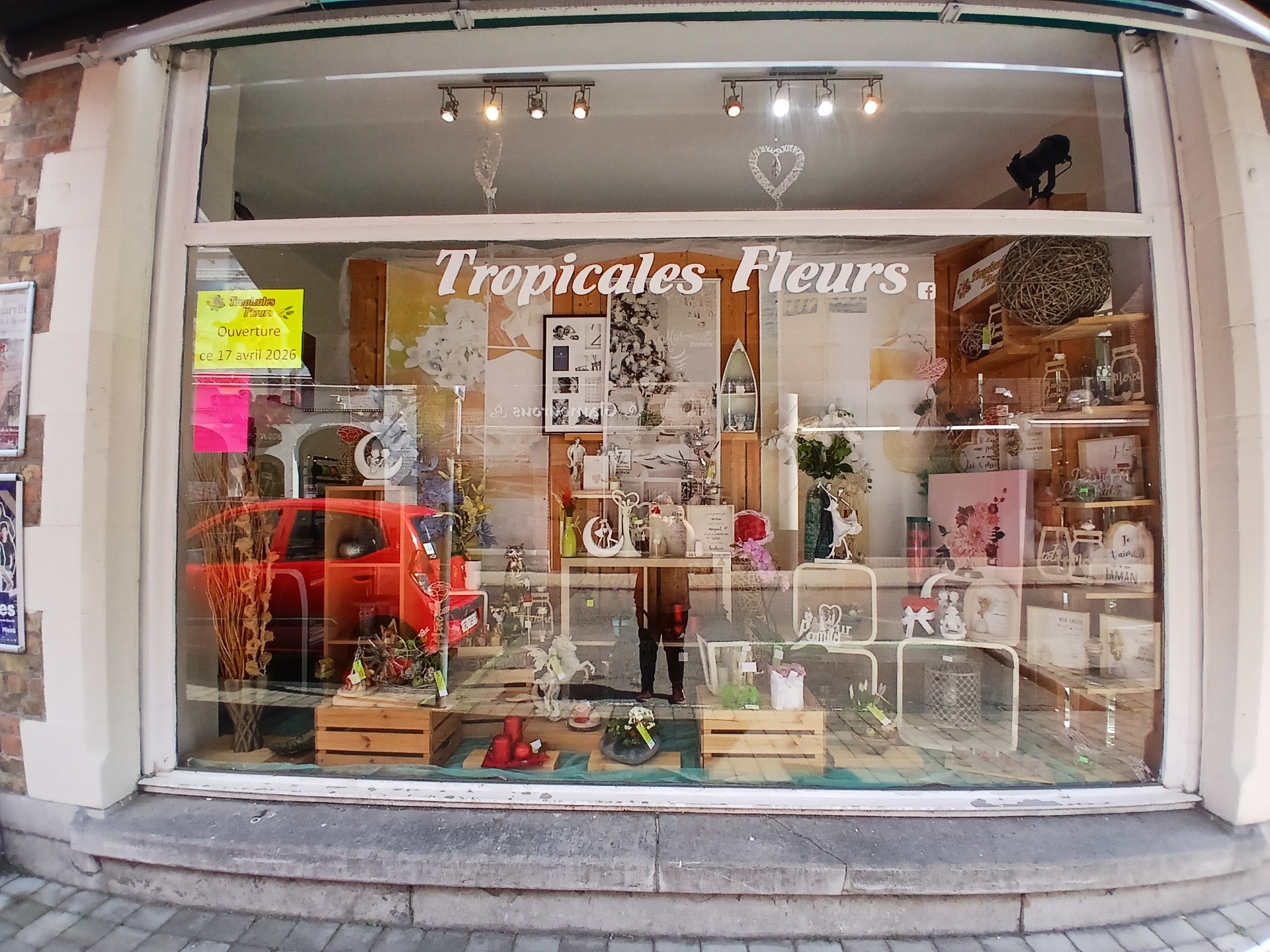 Tropicales fleurs | 042e0254-f691-461e-9a92-6166272e043e
