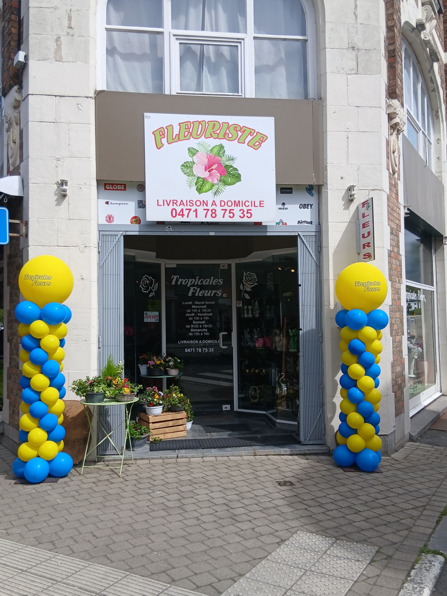 Tropicales fleurs | Vitrine