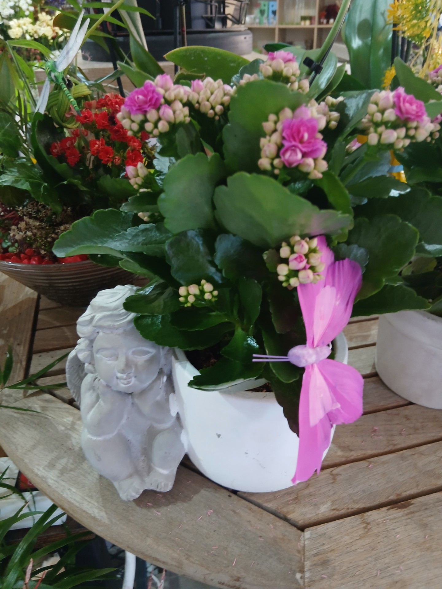 Composition plante modèle Ange