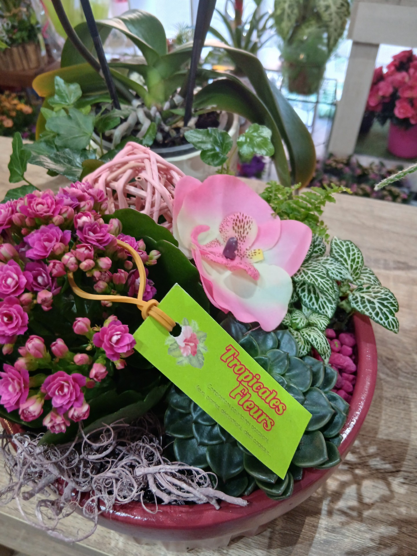 Composition plante tons roses
