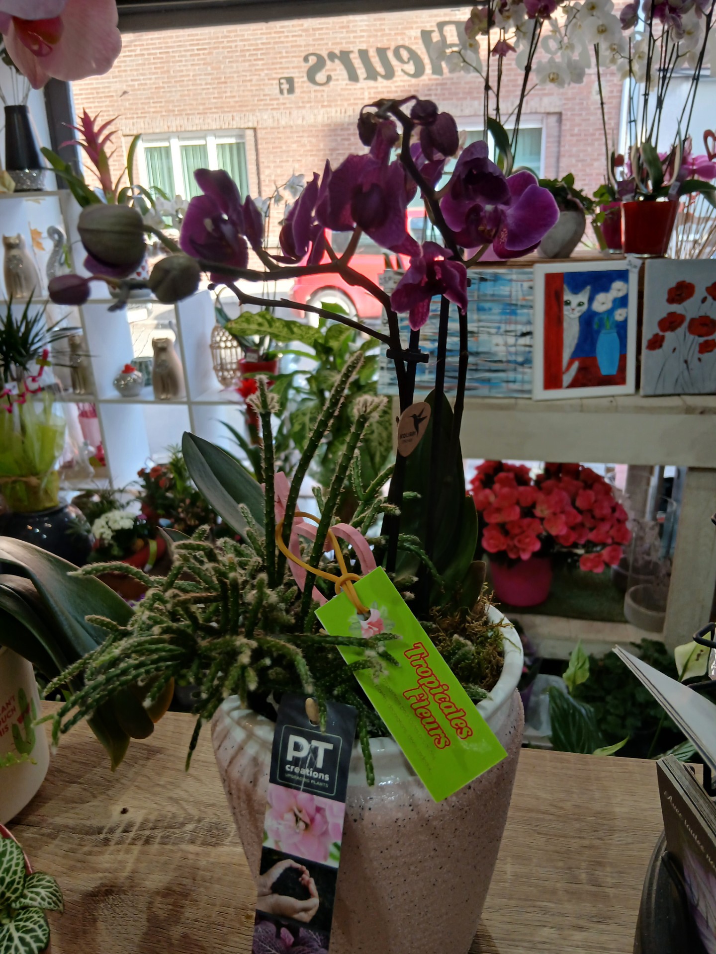 Montage orchidée