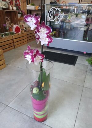 Orchidée - Vase
