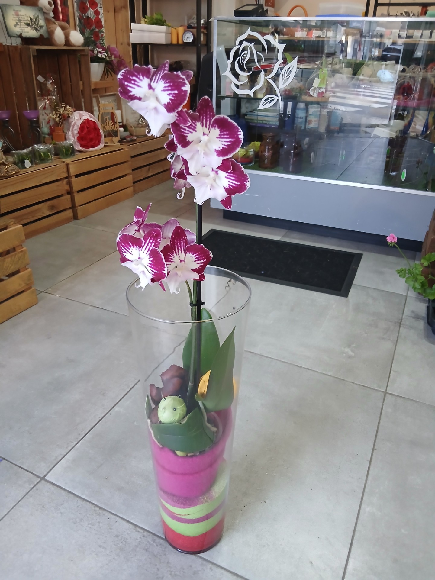 Orchidée - Vase